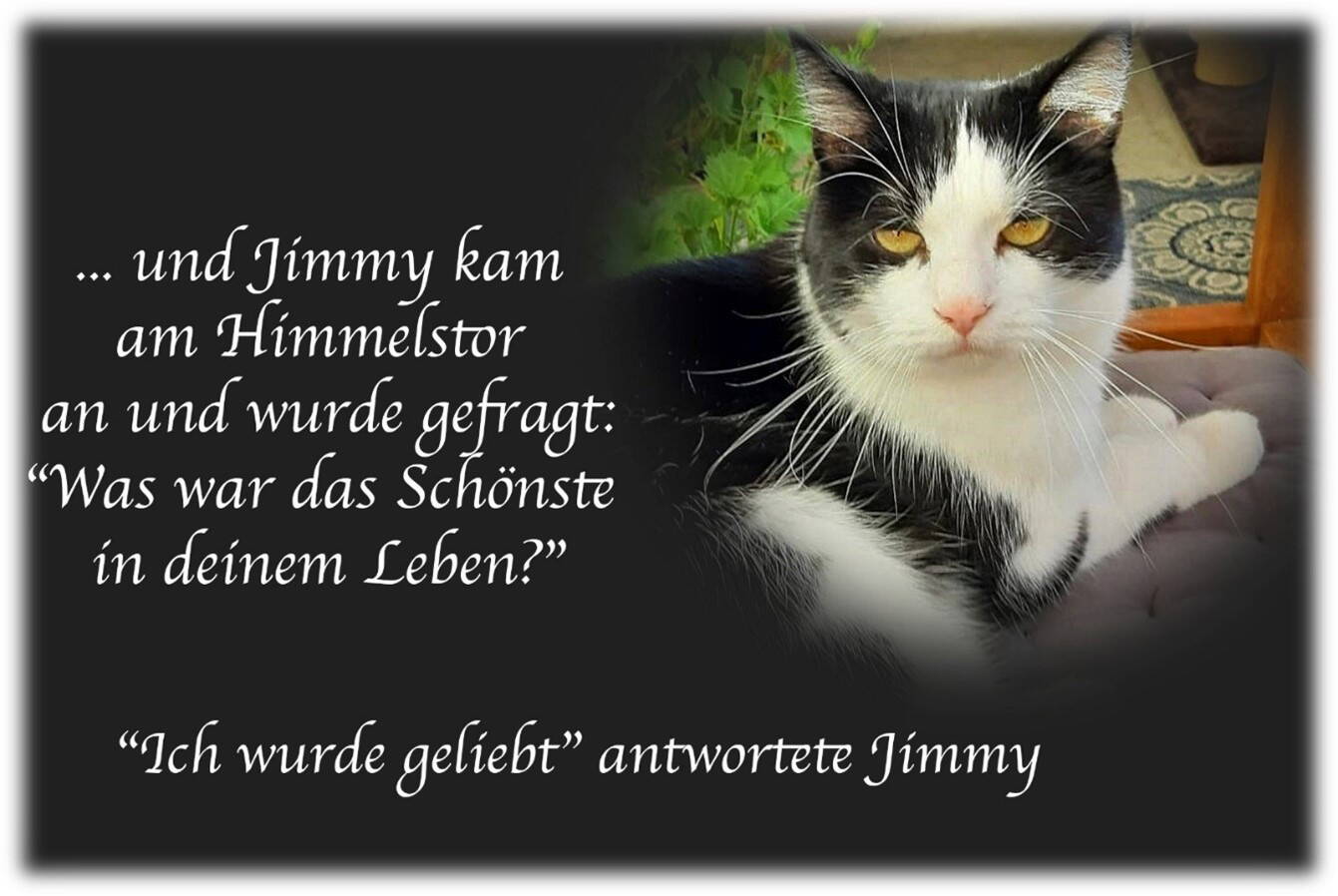 Jimmy