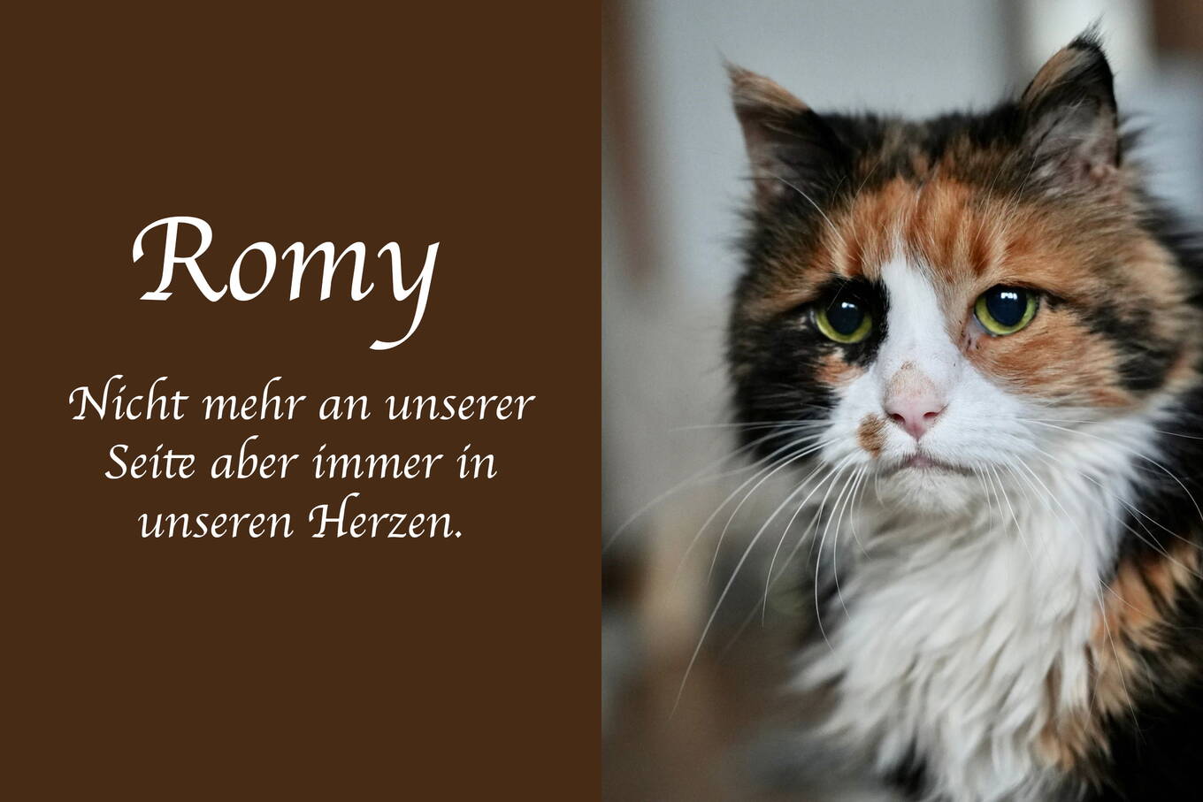 Romy