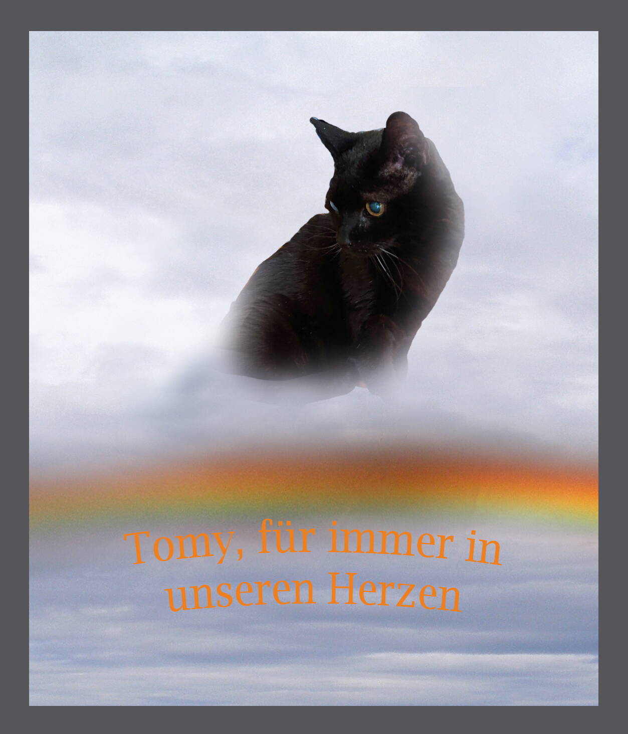 tomy_regenbogen_text.jpg